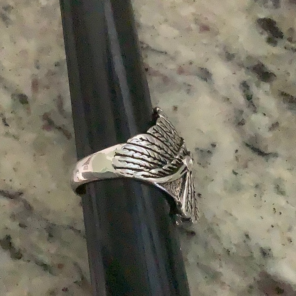 Indian Head Ring - image 2